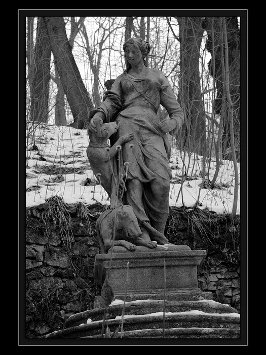 Diana
Keywords: Cibulka