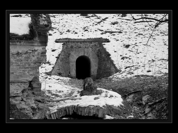 U jezírka
Keywords: Cibulka