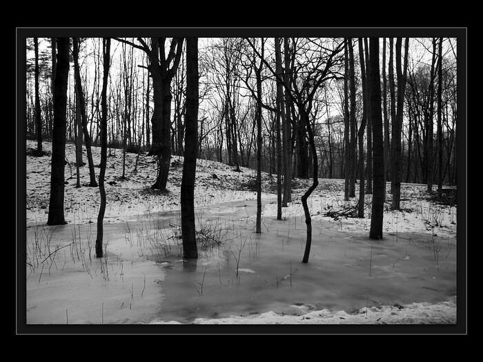 Zapomnění - ztuhlost
Keywords: Cibulka;zapomnění