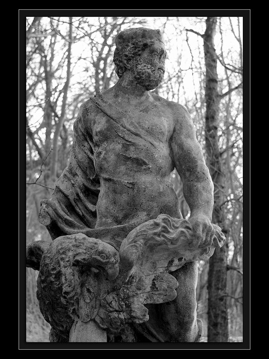 Zeus - vládce blesků
Keywords: Cibulka