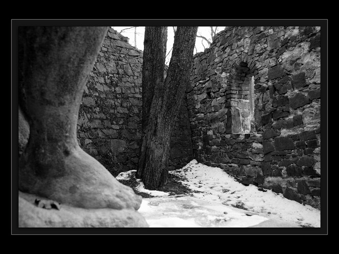 Noha strážce času
Keywords: Cibulka