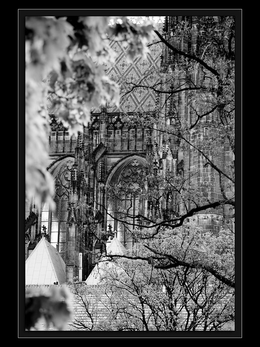 Sen o bájném městě
Keywords: bájné město