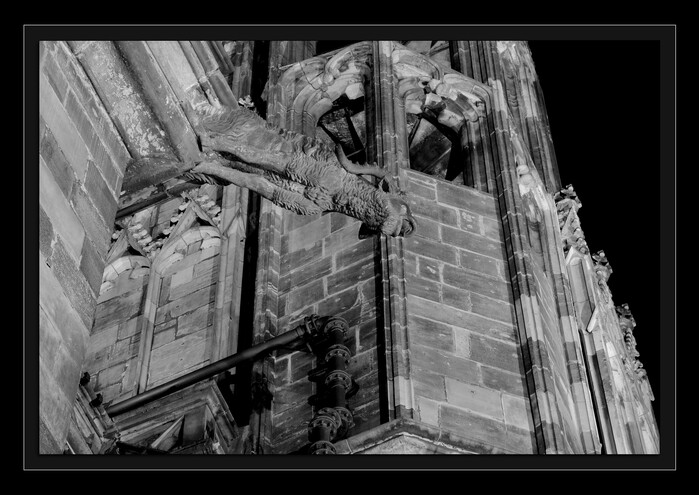 Mnoho je třeba ještě vykonat
Keywords: katedrála-hd;galaktická transformace 2012;vzestup;hvězdné vědomí