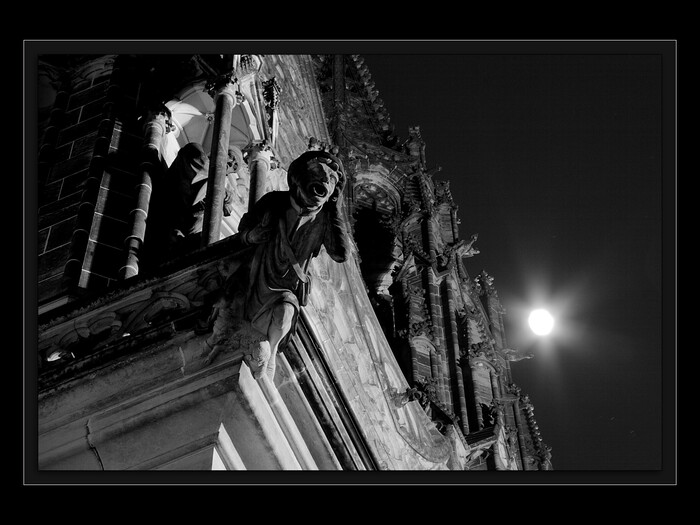 Neúnosnost zapomnění
Keywords: katedrála;galaktická transformace 2012;vzestup;hvězdné vědomí;zapomnění