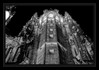 stellar_consciousness_of_cathedral_040_1493a_hd.jpg